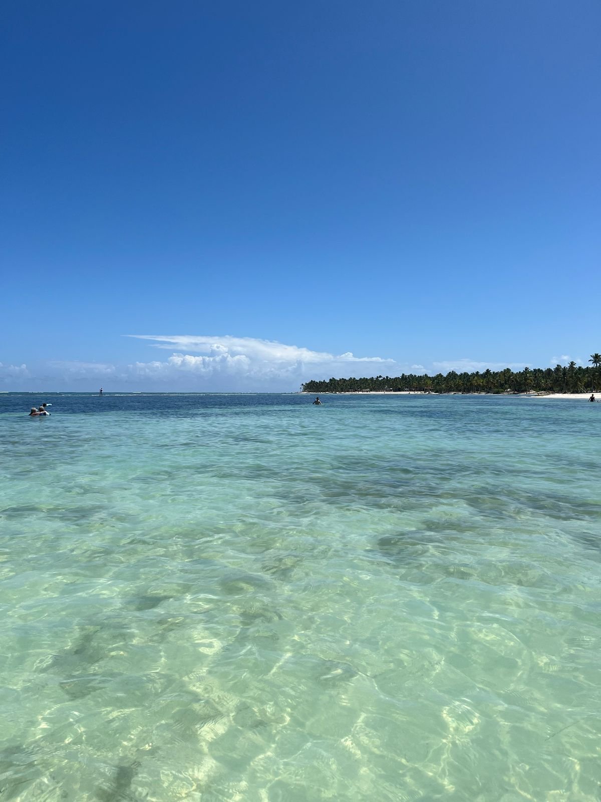 WhatsApp Image 2025-03-08 at 10.34.43